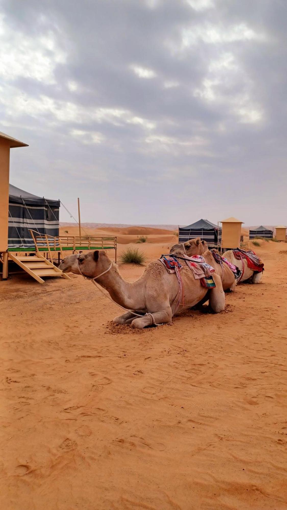 Sunrise Desert Local Private Camp Ξενοδοχείο Badīyah Εξωτερικό φωτογραφία